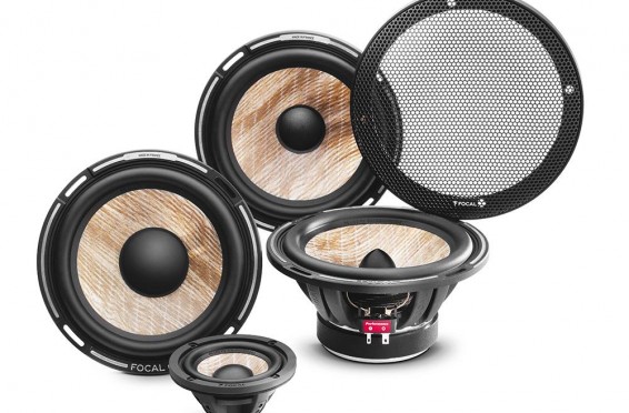 Focal Performance Expert Flax